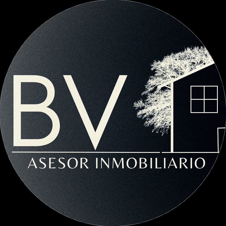 Logo Bienes Raíces Valle